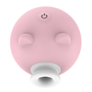 Sr. Piggy - Prazer & Diversão